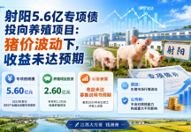 射阳5.6亿债券养猪遇猪周期，收益没达标！但投资者先别慌